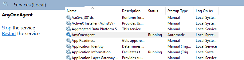 AnyOneAgent in the Windows Services console